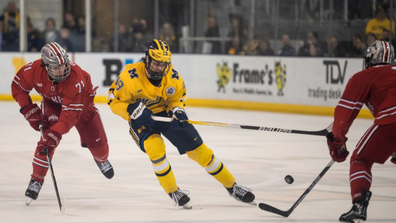Sophisticated Neutral Zone Play Strategies Sophisticated Neutral Zone Play Strategies