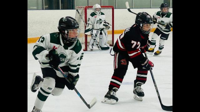 Teaching Through Mistakes: Building Confidence and Hockey IQ at the U10 Level