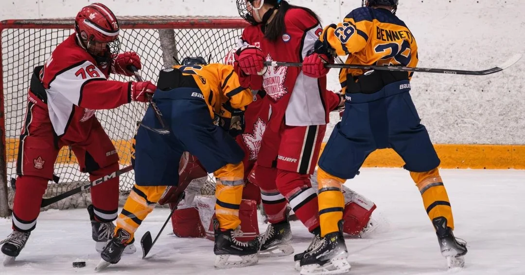 The Adaptive Coach : Safe to Fail – Coaching the Sequential Mind in an Ecological World