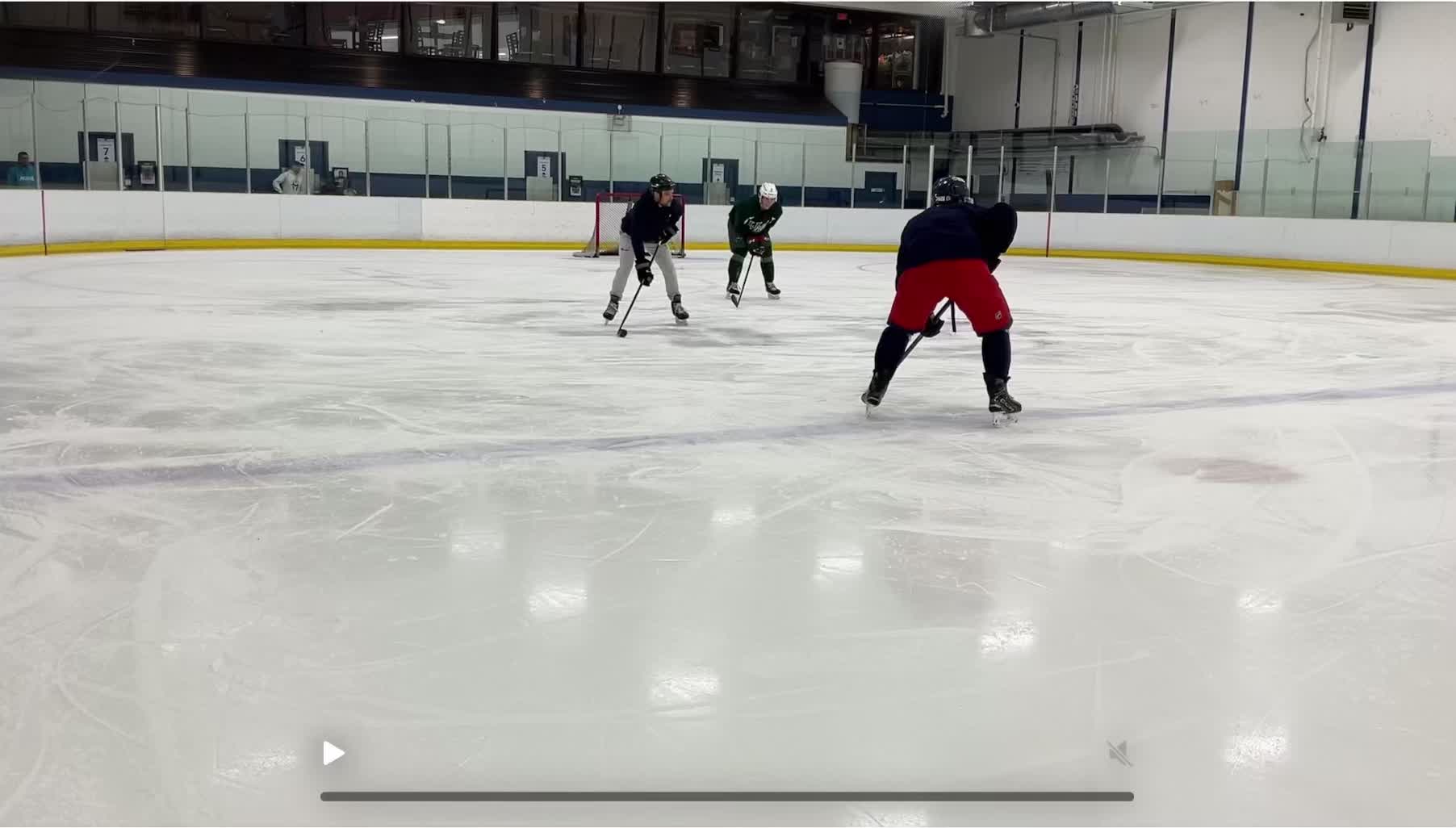 Agility skating with NHL D in an untraditional way