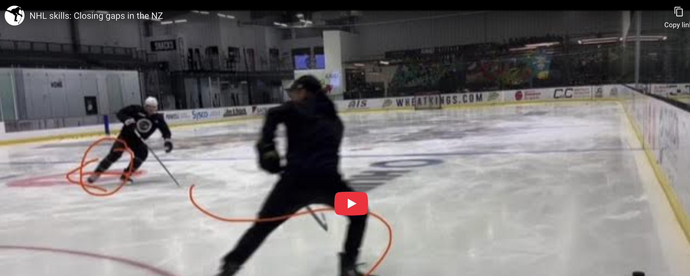 NHL D man closing gaps in the NZ