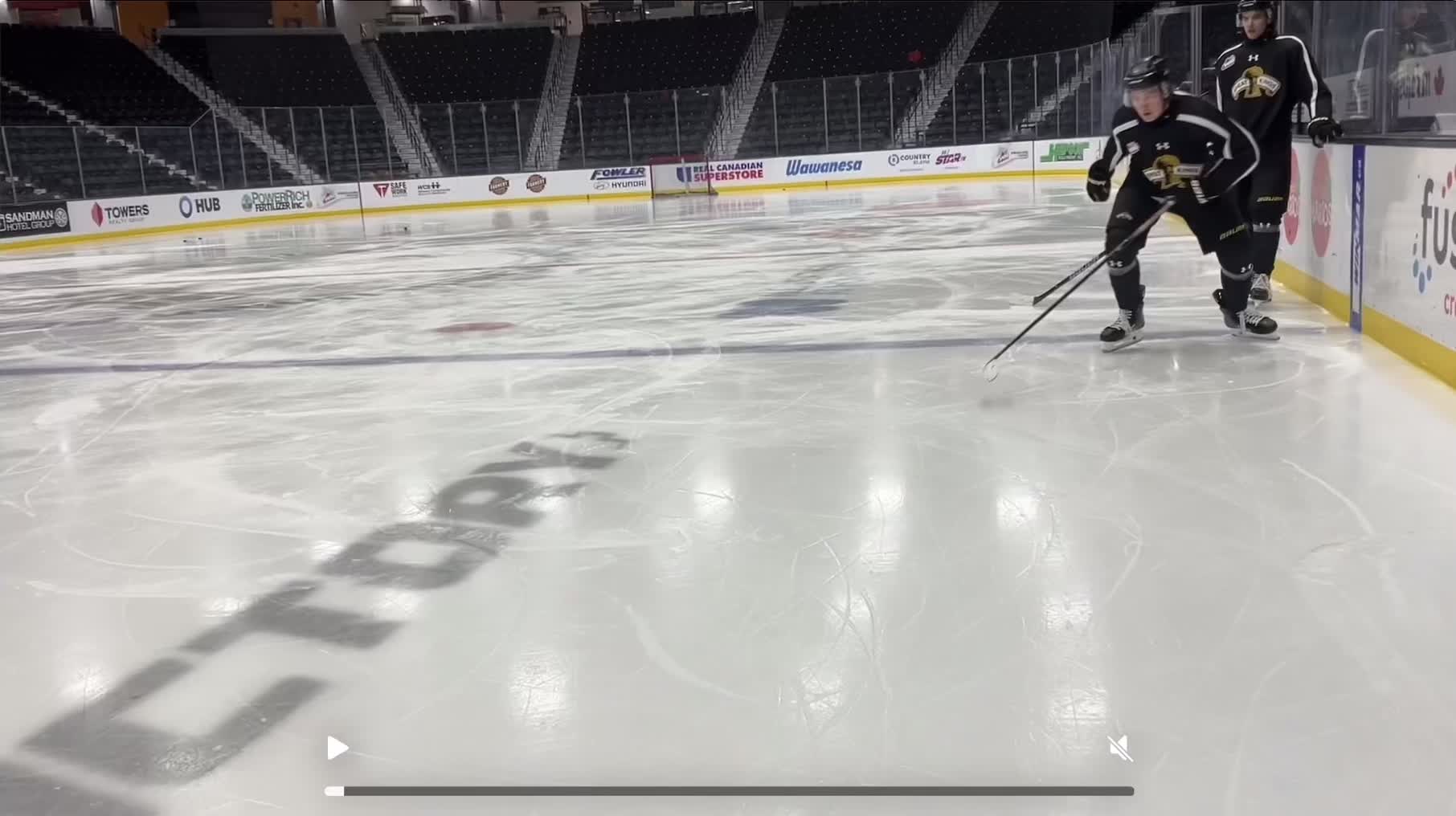 D game specific skating pattern