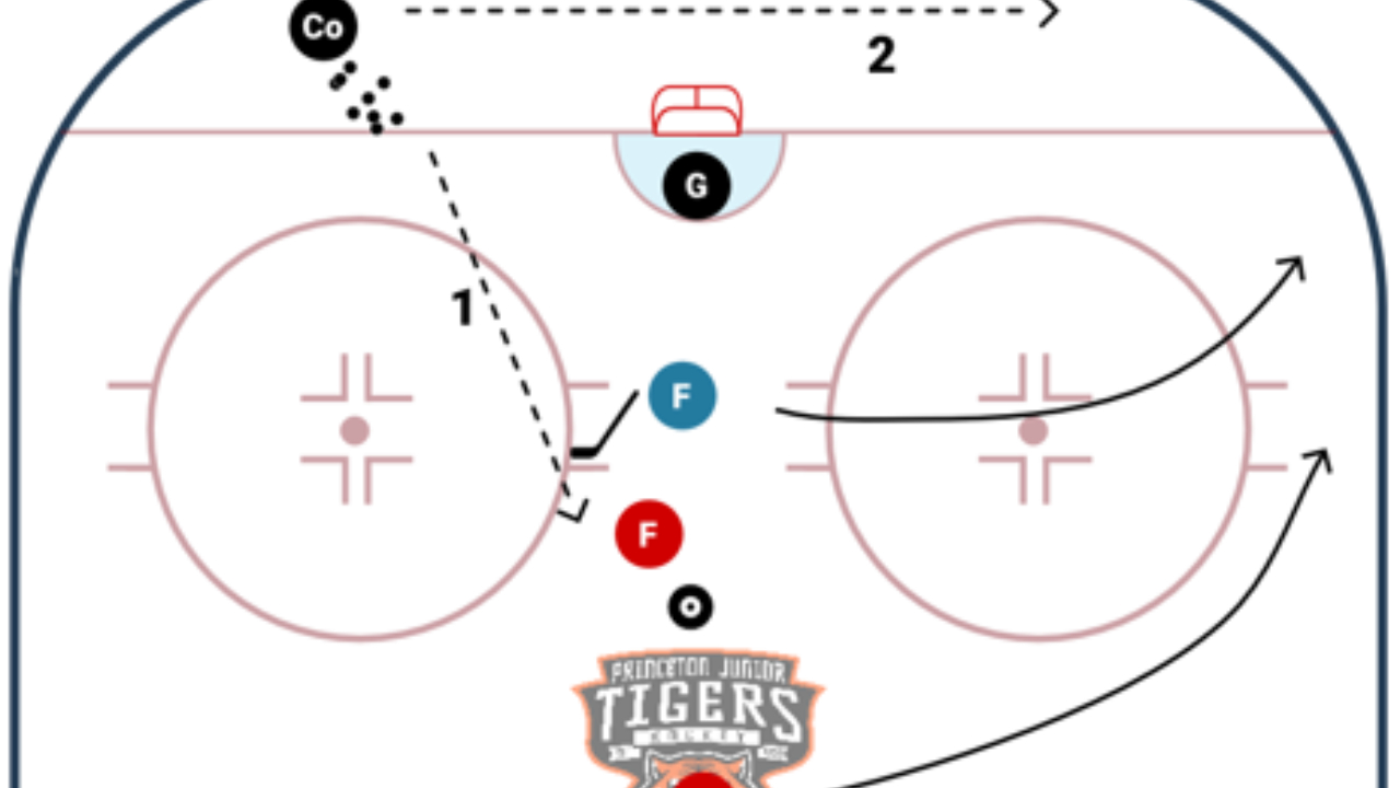 Winger D-Zone Work