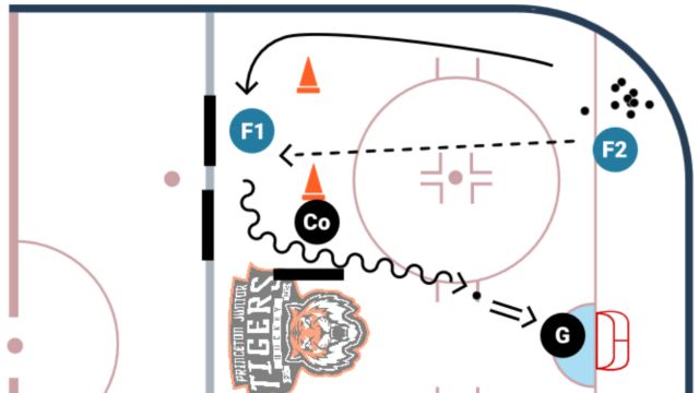 Protect the Puck