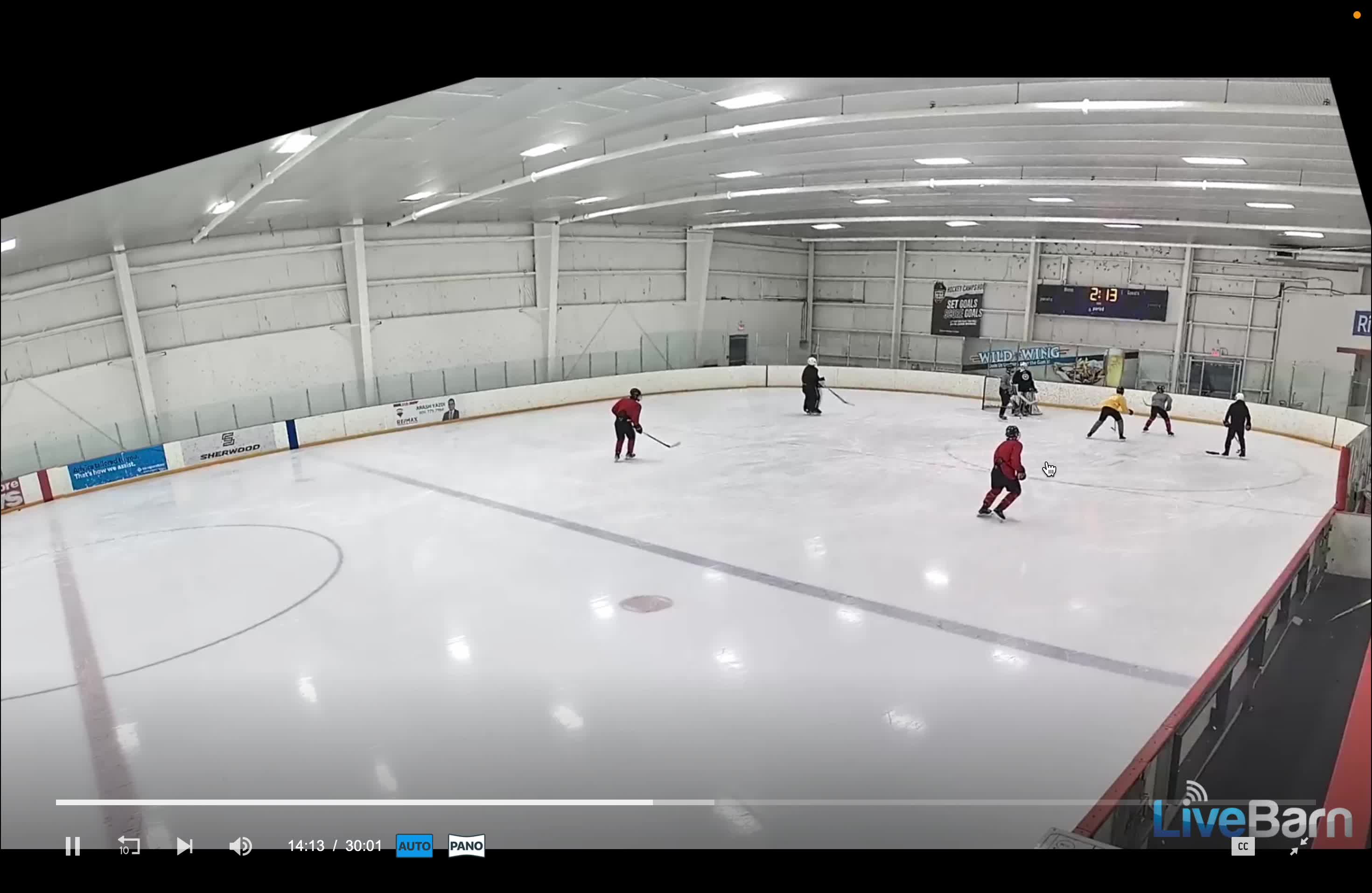 Yellow Retrievals & Air-Mail