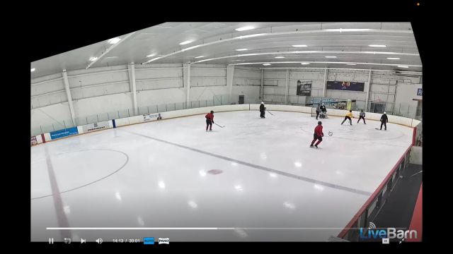 Yellow Retrievals & Air-Mail