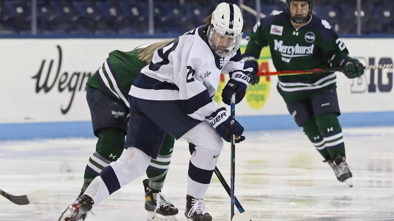 THE PSYCHOLOGICAL GAME : Safety, Identity and Belonging