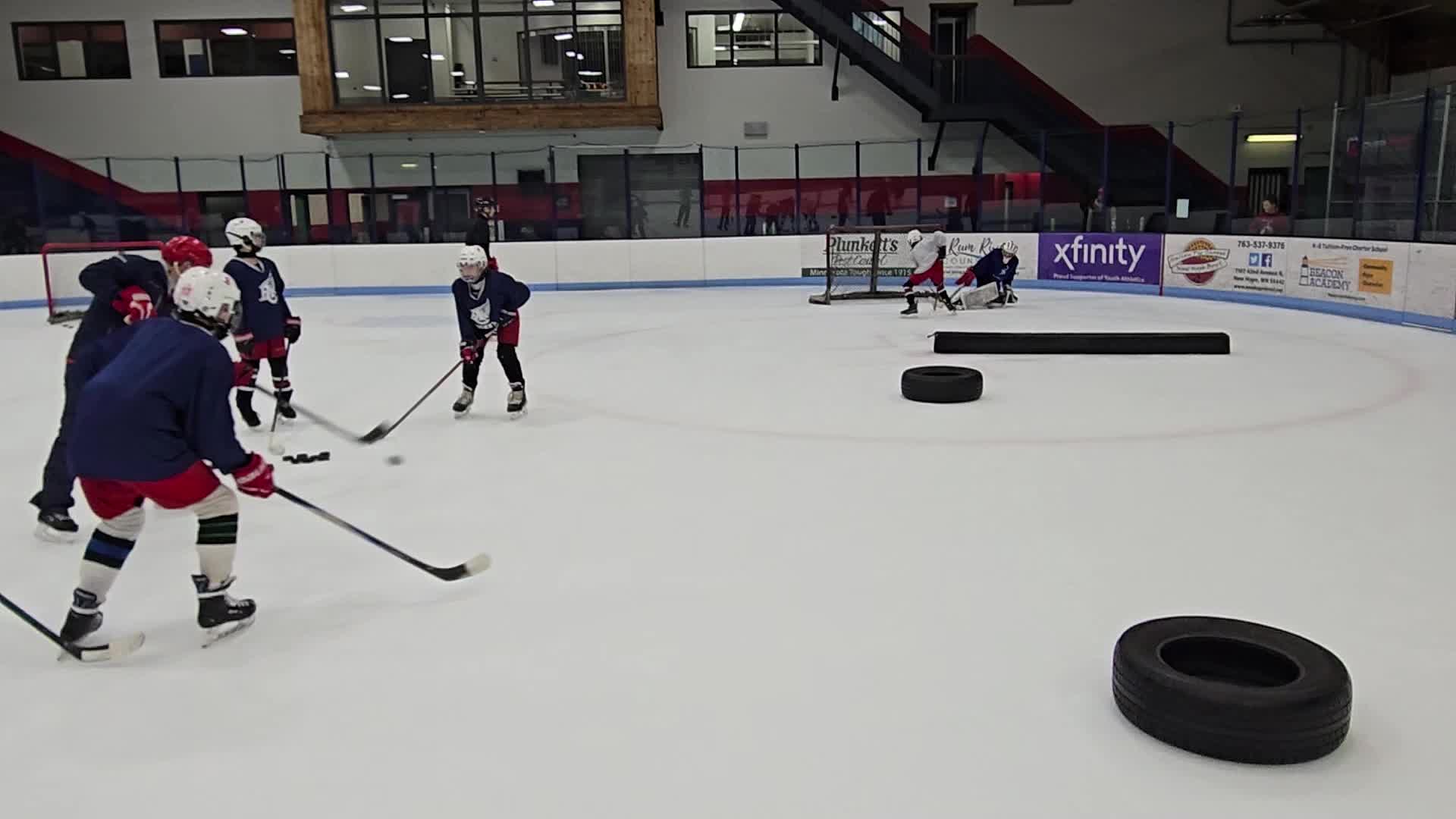 Puck Protection and Deception