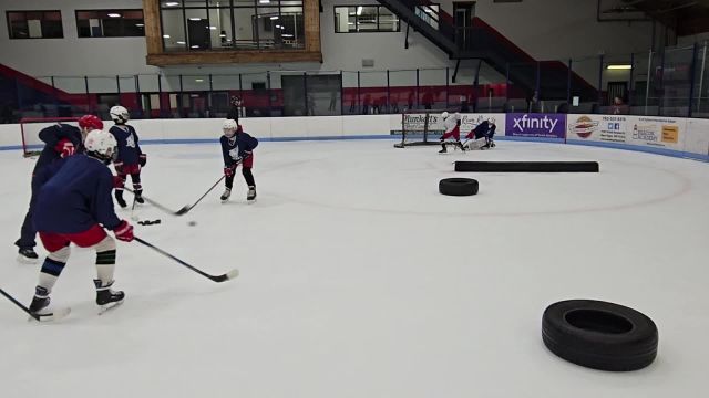 Puck Protection and Deception