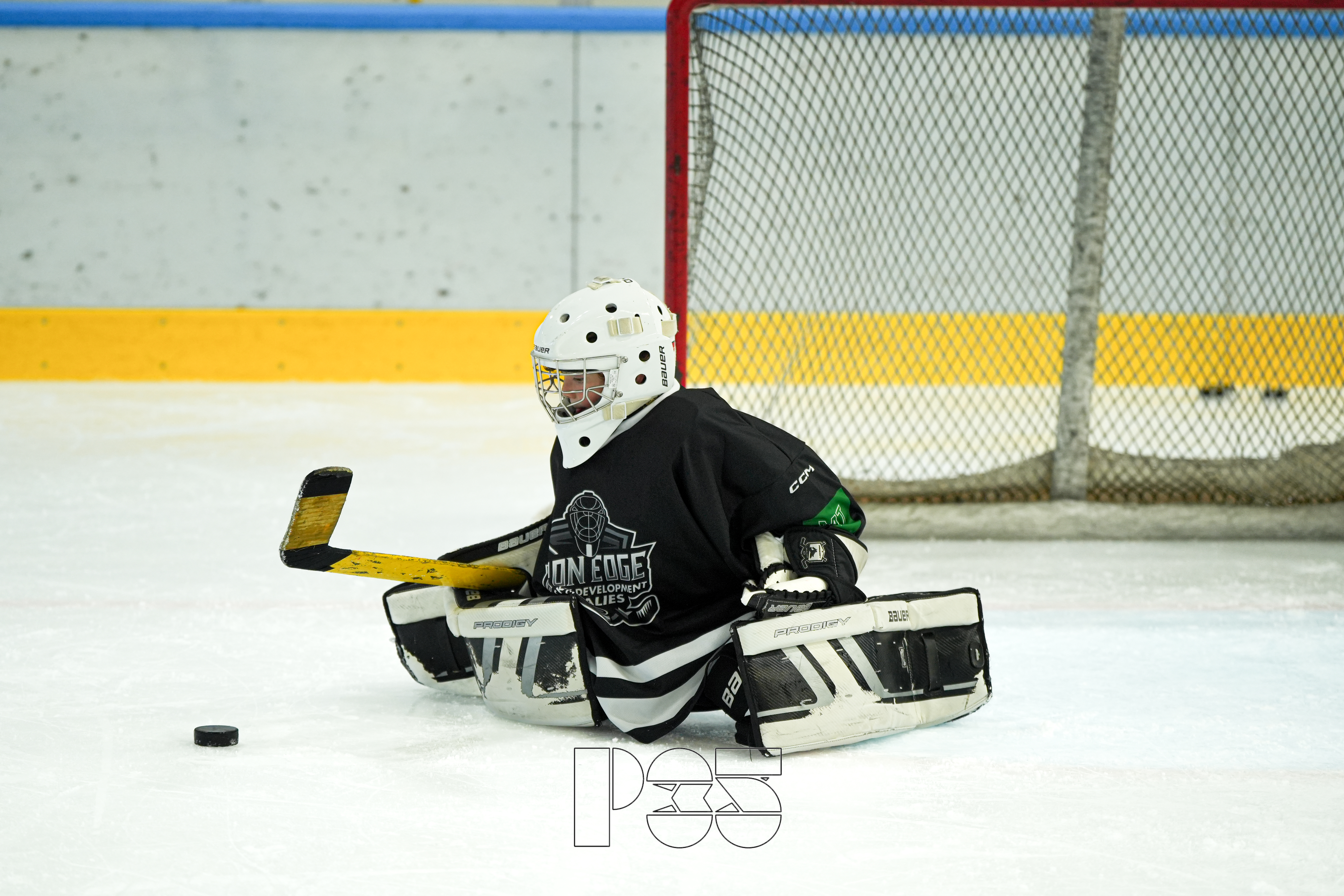Hand-eye coordination in young goalies (2016-2018): why train it off-ice?