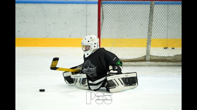 Hand-eye coordination in young goalies (2016-2018): why train it off-ice?