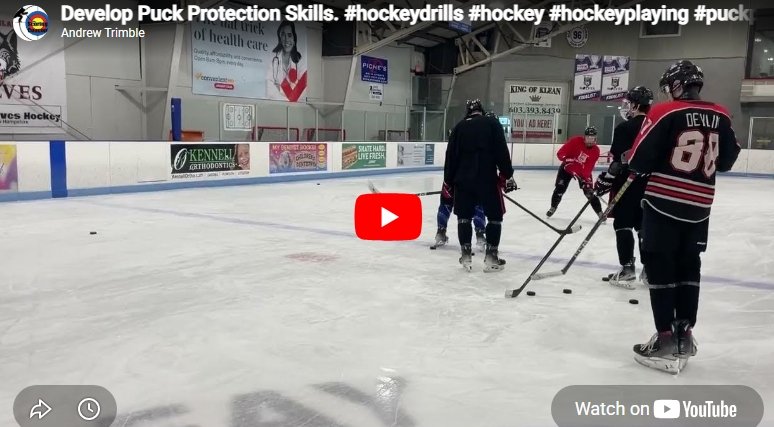 Develop Puck Protection Skills.