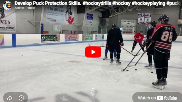 Develop Puck Protection Skills.