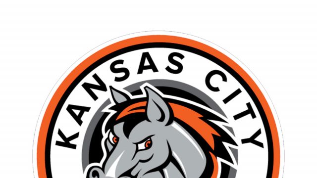 Job Posting: Goalie Coach/Video Coach: Kansas City Mavericks (ECHL Affiliate of the Seattle Kraken & Coachella Valley Firebirds)
