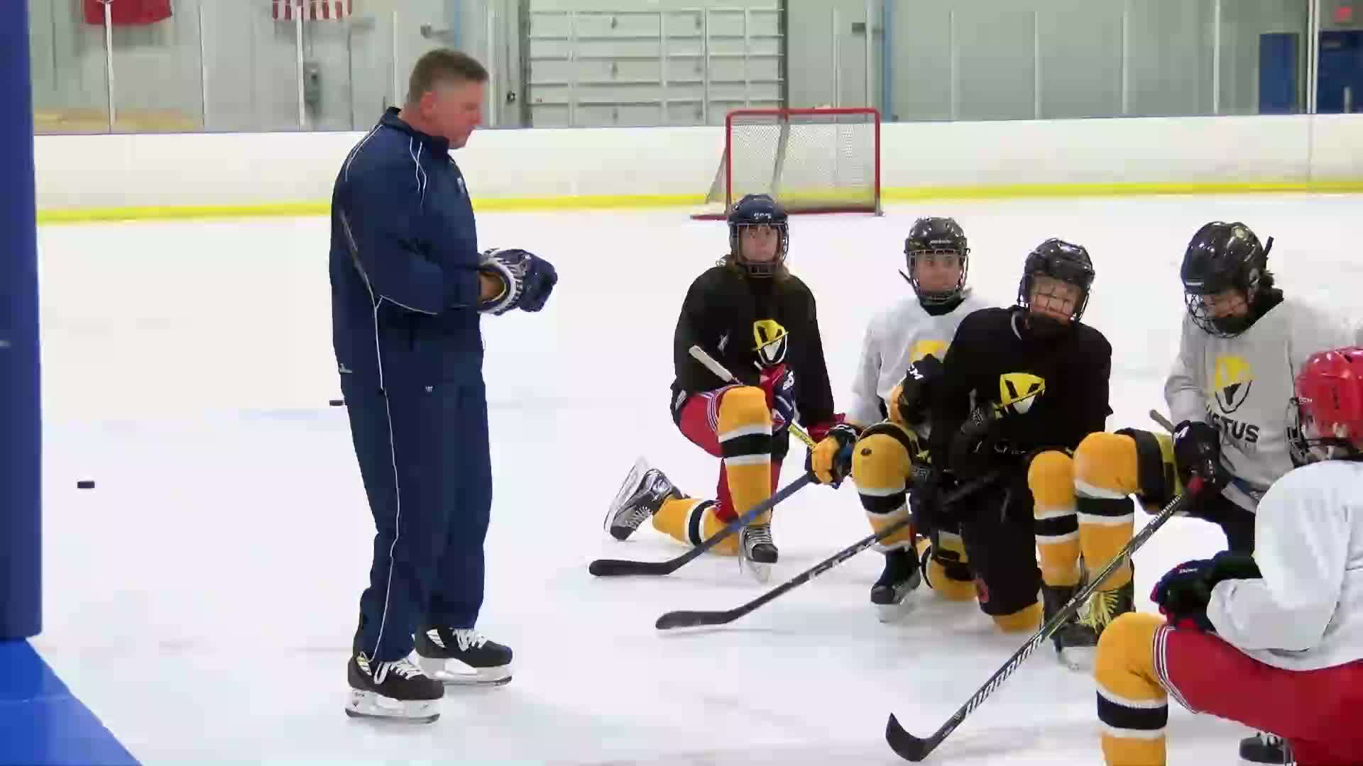Wrist Snap Action to Add Spin to the Puck