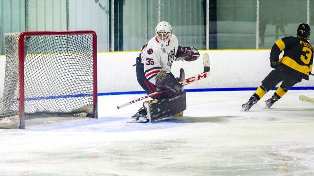 Hockey Parent Playbook