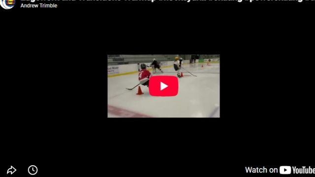 Edgework and Transitions Warmup