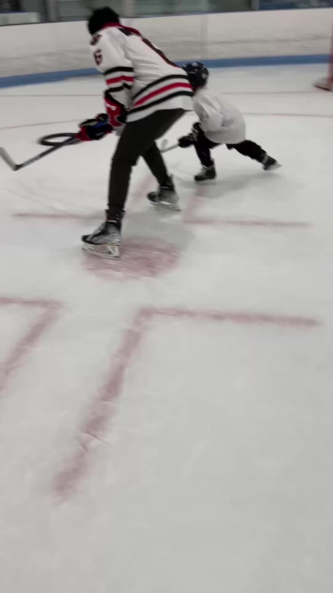 Practice Retrieving Pucks