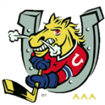 Barrie AAA Colts