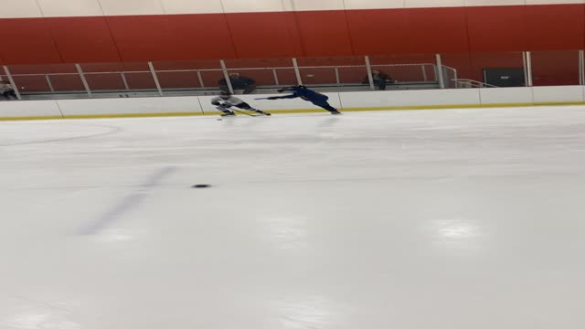 Freeze Tag Stickhandling Game