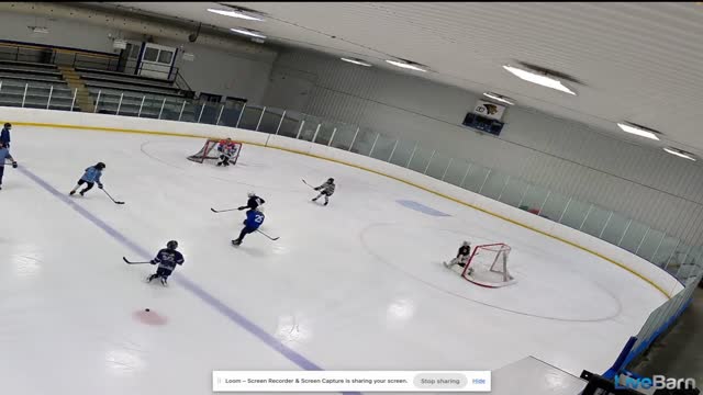 Using Constraints/Affordances in SAGs to Incentivize Good Habits/Playmaking Using Constraints/Affordances in SAGs to Incentivize Good Habits/Playmaking