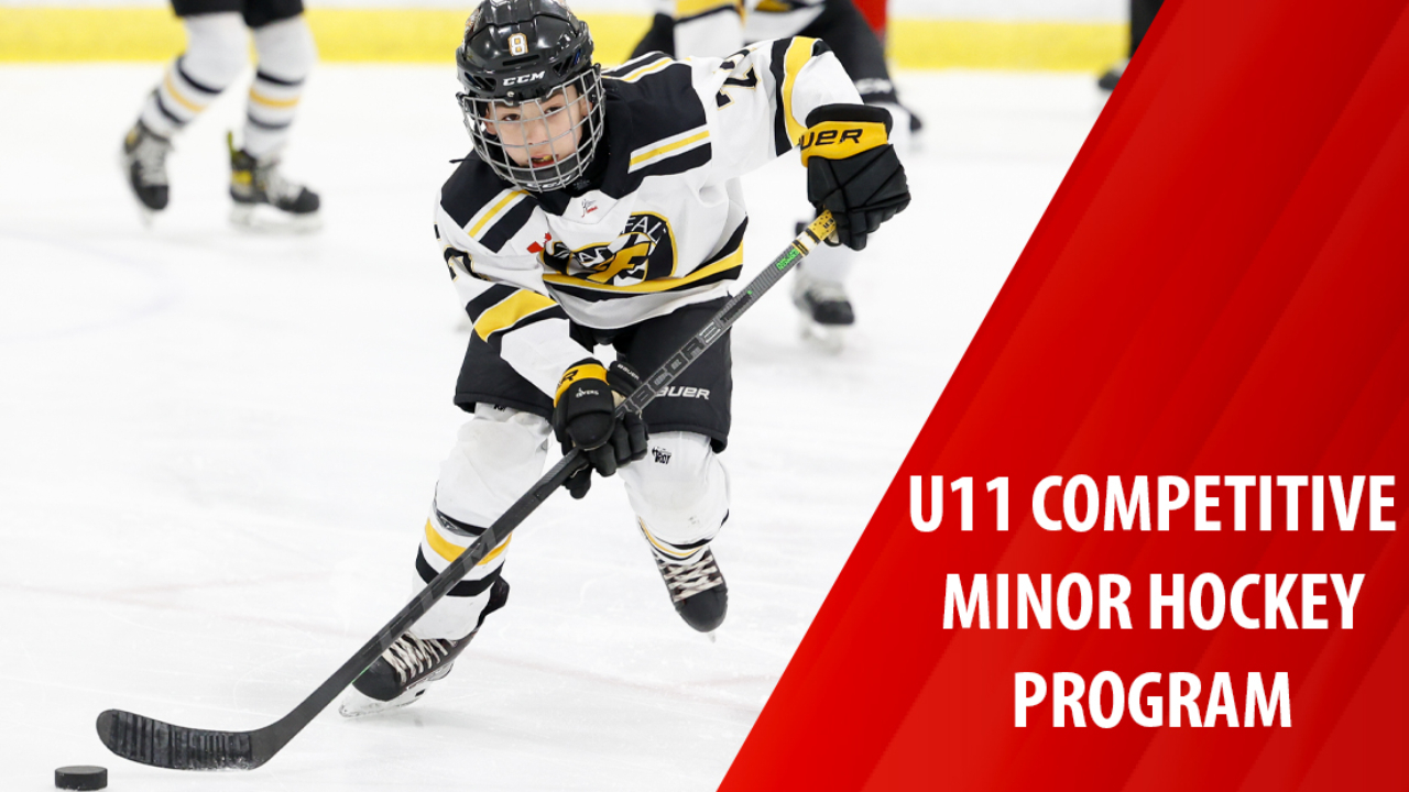 U11 Competitive Minor Hockey Program available now!