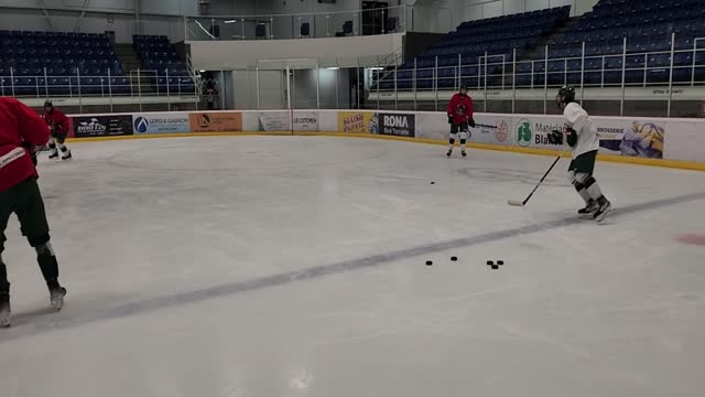 Puck Recovery Skills - Puck Handling Puck Recovery Skills - Puck Handling