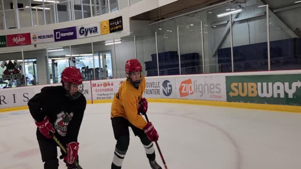 Puck Protection- Creating a wall Puck Protection- Creating a wall