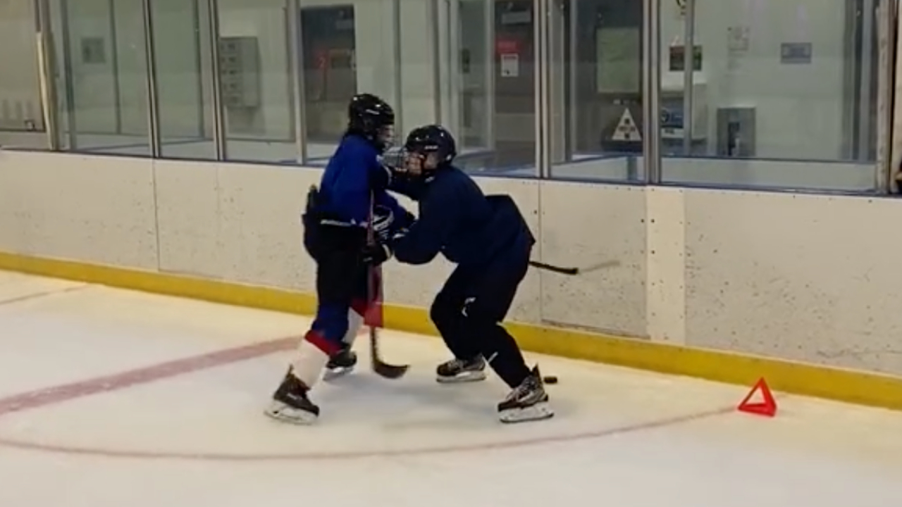 Perimeter Puck Protection Perimeter Puck Protection