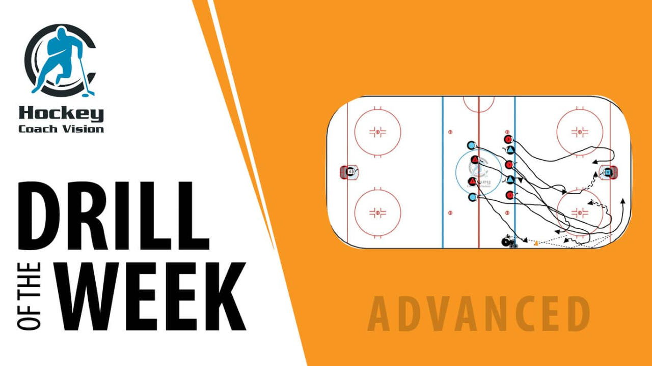 Detroit 3 Puck Detroit 3 Puck