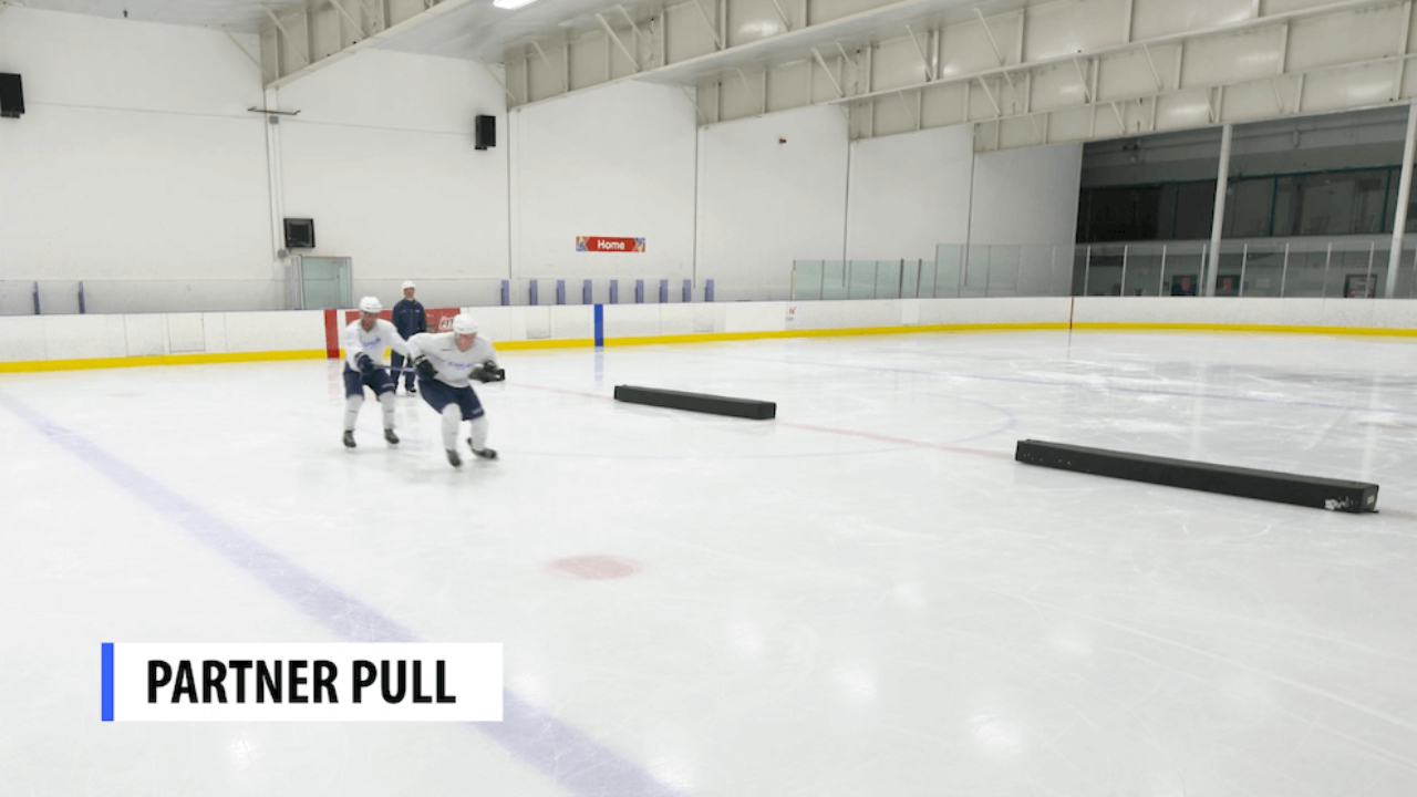 Partner Pull Partner Pull