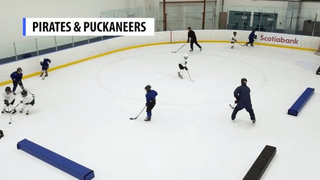 Pirates and Puckaneers Pirates and Puckaneers