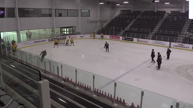 4. Bear 2 vs 1 x 3 1