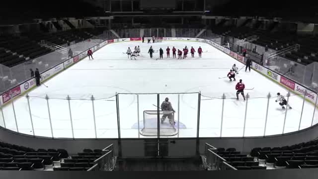 20. 50 - 50 Puck Battles