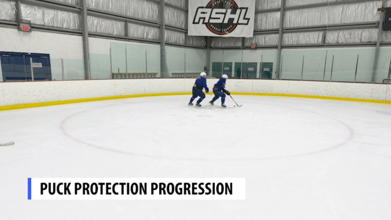 Puck Protection Progression Puck Protection Progression