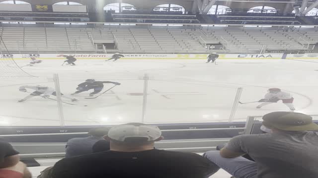 Puck Protection & Body Position Series - Parts 2, 3