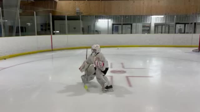 Butterfly Recovery T-Push