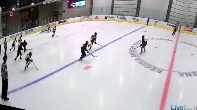 3 Steps To Surfing In Youth Hockey