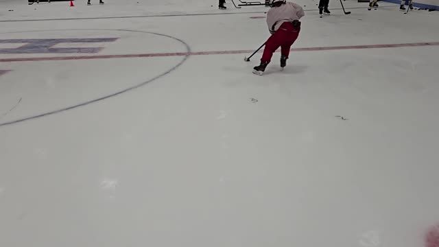 Puck Handling Lanes (MNS 1/20)