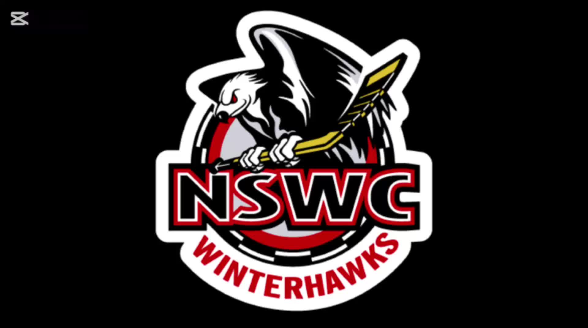 NSWC - Forechecking Examples