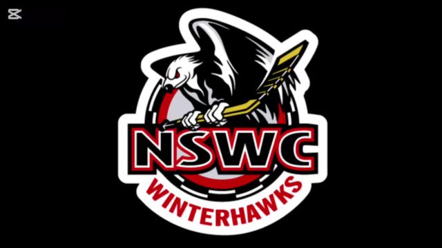 NSWC - Forechecking Examples